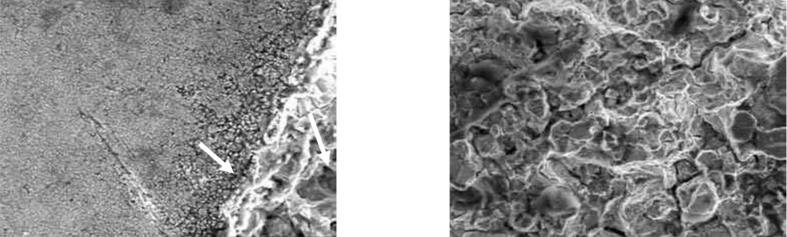 螺釘斷裂金相分析