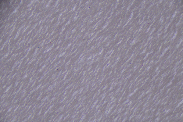 新能源電池板材料用金相顯微鏡觀察效果圖