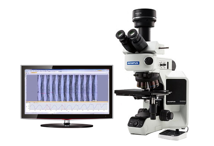 金相顯微鏡BX53M