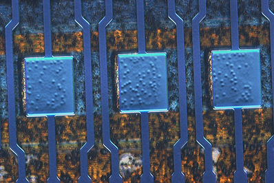 金相顯微鏡導(dǎo)電粒子檢查效果圖